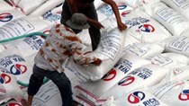 FAO: Điều chỉnh tăng đánh giá về sản lượng gạo thế giới năm 2009